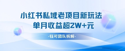 小红书私域项目新玩法,单月变现过W+-乐码云集