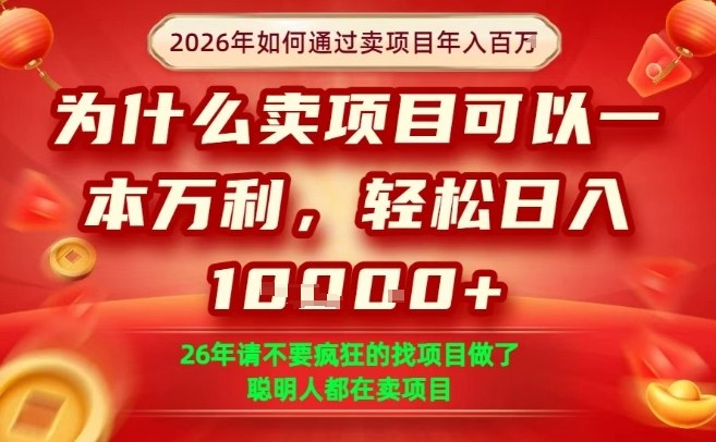 一单净利润1K+，26年想年入100个W，死磕卖项目就够了【揭秘】-乐码云集