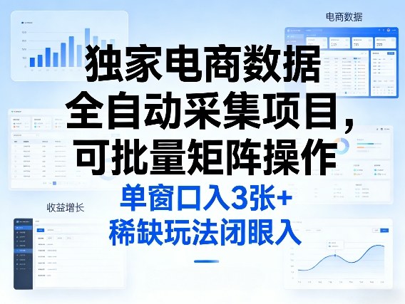 独家电商数据全自动采集项目，可批量矩阵操作，单窗口日入3张+，稀缺玩法闭眼入【揭秘】-乐码云集