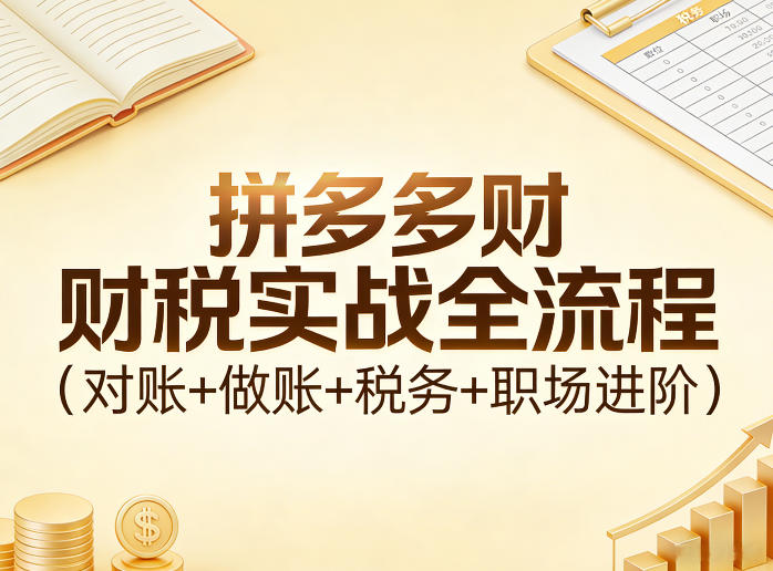 拼多多财税实战全流程(对账+做账+税务+职场进阶)-乐码云集