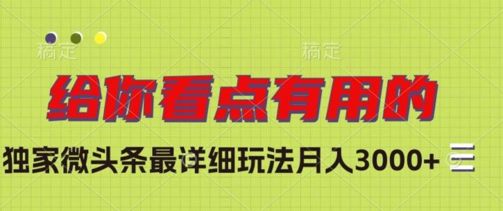 独家微头条最详细玩法，月入3000+【揭秘】-乐码云集