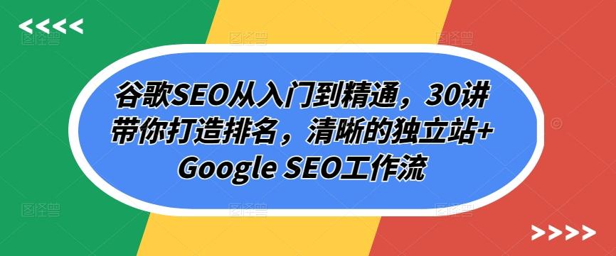 谷歌SEO从入门到精通，30讲带你打造排名，清晰的独立站+Google SEO工作流-乐码云集