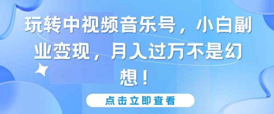 玩转中视频音乐号，小白副业变现，月入过万不是幻想【揭秘】-乐码云集