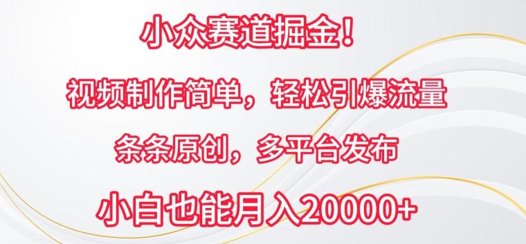 小众赛道掘金，视频制作简单，轻松引爆流量，条条原创，多平台发布【揭秘】-乐码云集