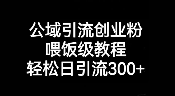 公域引流创业粉，喂饭级教程，轻松日引流300+【揭秘】-乐码云集