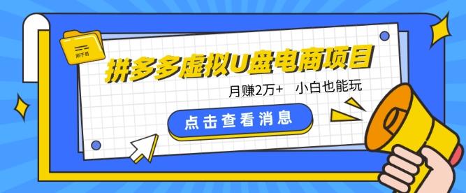 拼多多虚拟U盘电商红利项目：月赚2万+，新手小白也能玩-乐码云集