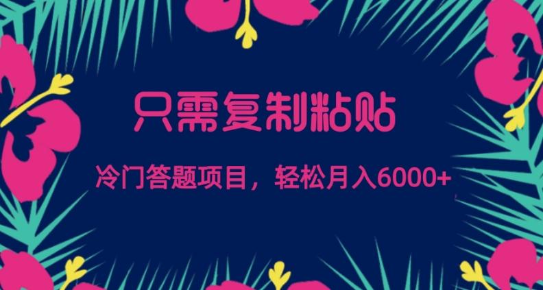 只需复制粘贴，冷门答题项目，轻松月入6000-乐码云集