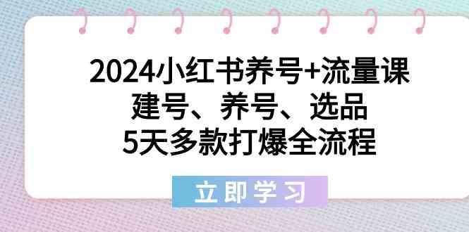 2024小红书养号+流量课:建号、养号、选品,5天多款打爆全流程-乐码云集