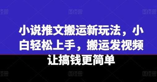 小说推文搬运新玩法，小白轻松上手，搬运发视频让搞钱更简单-乐码云集