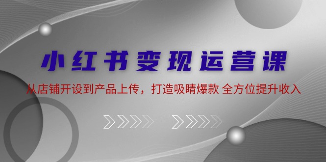 小红书变现运营课：从店铺开设到产品上传，打造吸睛爆款 全方位提升收入-乐码云集