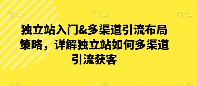 独立站入门&多渠道引流布局策略，详解独立站如何多渠道引流获客-乐码云集