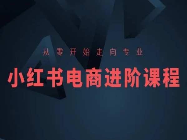 从零开始走向专业，小红书电商进阶课程-乐码云集