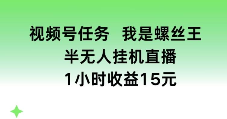 视频号任务，我是螺丝王， 半无人挂机1小时收益15元【揭秘】-乐码云集