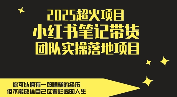 2025超火项目，副业最佳选择，小红书笔记带货团队实操落地项目，，轻松日入5张-乐码云集