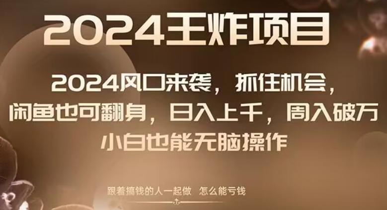 2024风口项目来袭，抓住机会，闲鱼也可翻身，日入上千，周入破万，小白也能无脑操作-乐码云集