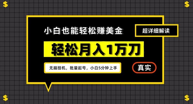 谷歌看广告撸美金2.0，无脑挂机，多号操作，月入1万刀【揭秘】-乐码云集