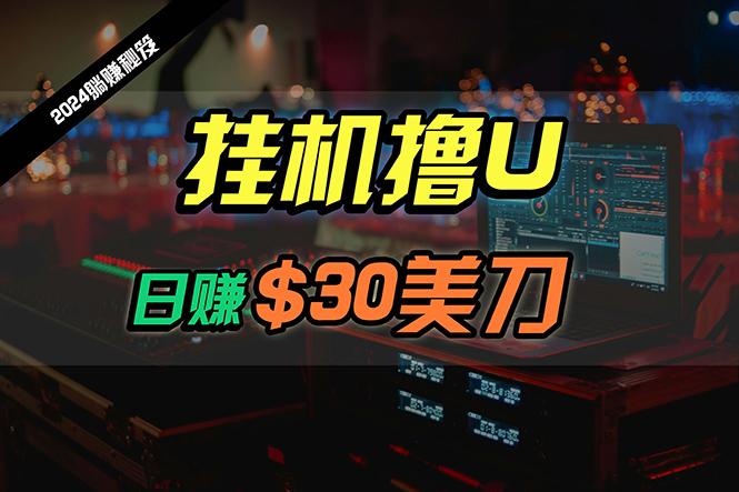 (10013期)日赚30美刀，2024最新海外挂机撸U内部项目，全程无人值守，可批量放大-乐码云集