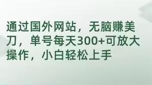 通过国外网站，无脑赚美刀，单号每天300+可放大操作，小白轻松上手【揭秘】-乐码云集
