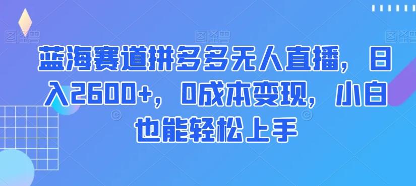 蓝海赛道拼多多无人直播，日入2600+，0成本变现，小白也能轻松上手【揭秘】-乐码云集