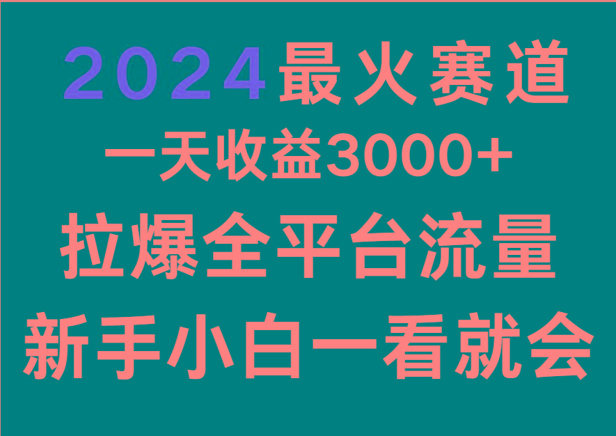 2024最火赛道,一天收一3000+.拉爆全平台流量,新手小白一看就会-乐码云集