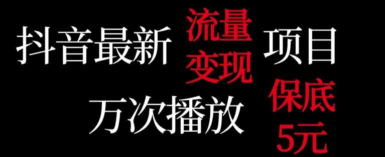 抖音流量变现，万次播放保底5元，额外收入-乐码云集