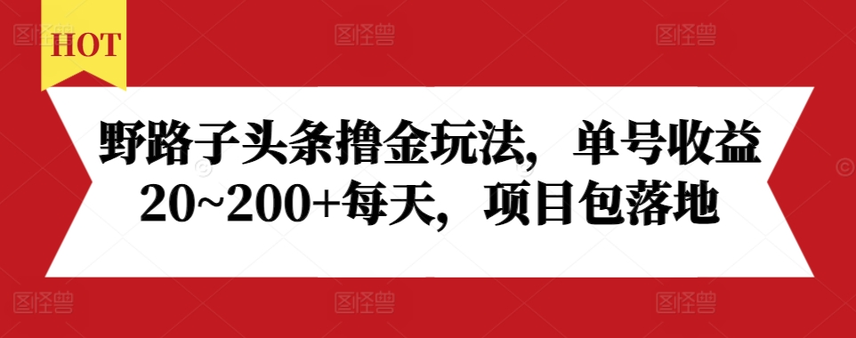 野路子头条撸金玩法，单号收益20~200+每天，项目包落地-乐码云集