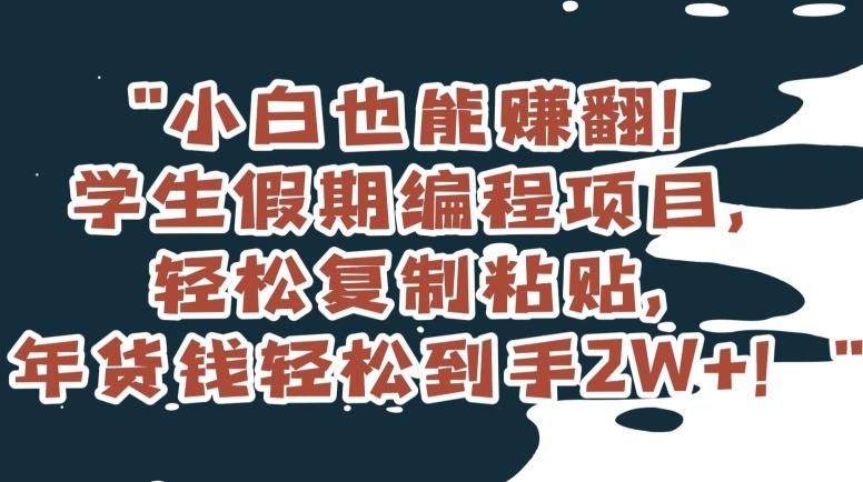 小白也能赚翻！学生假期编程项目，轻松复制粘贴，年货钱轻松到手2W+【揭秘】-乐码云集