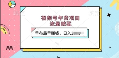 视频号年货项目，流量贼猛，早布局早挣钱，日入上k【揭秘】-乐码云集