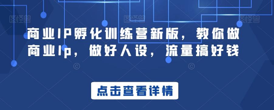商业IP孵化训练营新版，教你做商业Ip，做好人设，流量搞好钱-乐码云集