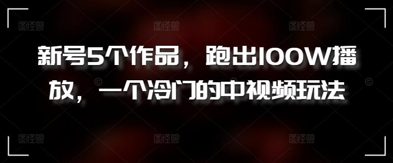 新号5个作品，跑出100W播放，一个冷门的中视频玩法【揭秘】-乐码云集