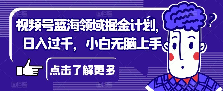 视频号蓝海领域掘金计划，日入过千，小白无脑上手【揭秘】-乐码云集