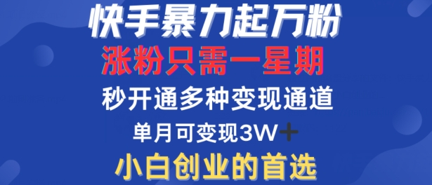 快手暴力起万粉，涨粉只需一星期，多种变现模式，直接秒开万合，单月变现过W【揭秘】-乐码云集