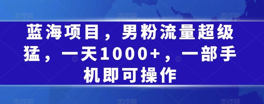 蓝海项目，男粉流量超级猛，一天1000+，一部手机即可操作【揭秘】-乐码云集
