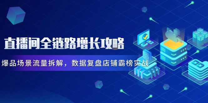 直播间全链路增长攻略，爆品场景流量拆解，数据复盘店铺霸榜实战-乐码云集
