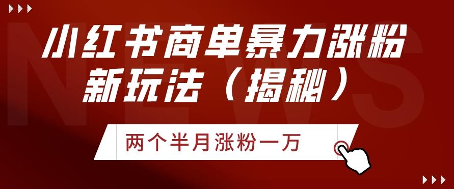 小红书商单暴力涨粉新玩法两个半月涨粉一万（揭秘）-乐码云集