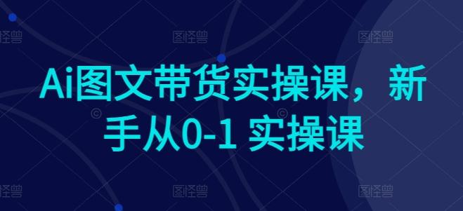 Ai图文带货实操课，新手从0-1 实操课-乐码云集