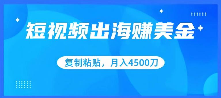 短视频出海赚美金，复制粘贴批量操作，小白轻松掌握，月入4500美刀【揭秘】-乐码云集