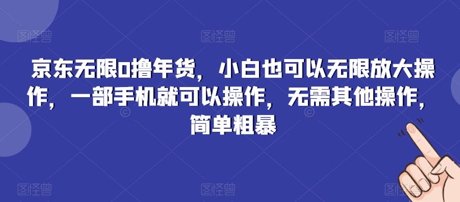 京东无限0撸年货，小白也可以无限放大操作，一部手机就可以操作，无需其他操作，简单粗暴-乐码云集