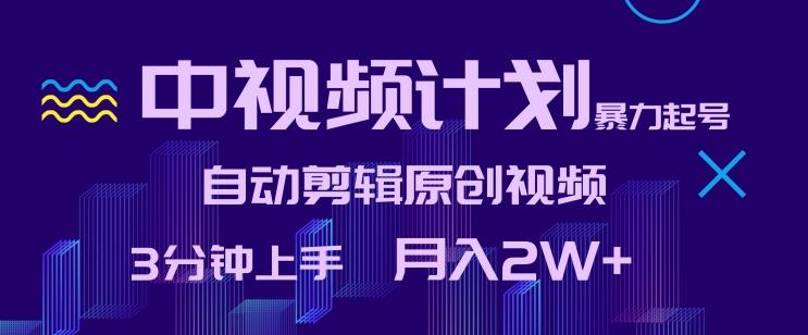 中视频计划暴力起号，自动剪辑原创视频，3分钟上手，月入2W+【揭秘】-乐码云集