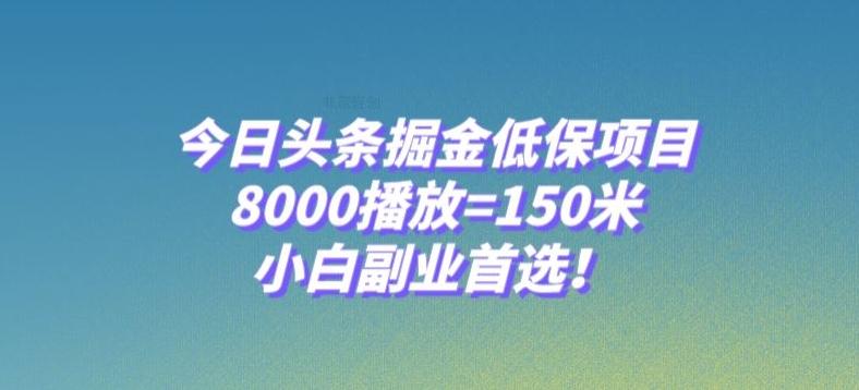 今日头条掘金低保项目，8000播放=150米，小白副业首选【揭秘】-乐码云集