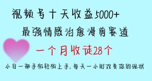 十天收益5000+，多平台捞金，视频号情感治愈漫剪，一个月收徒28个，小白一部手机轻松上手【揭秘】-乐码云集