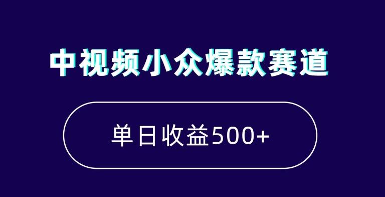 中视频小众爆款赛道，7天涨粉5万+，小白也能无脑操作，轻松月入上万【揭秘】-乐码云集