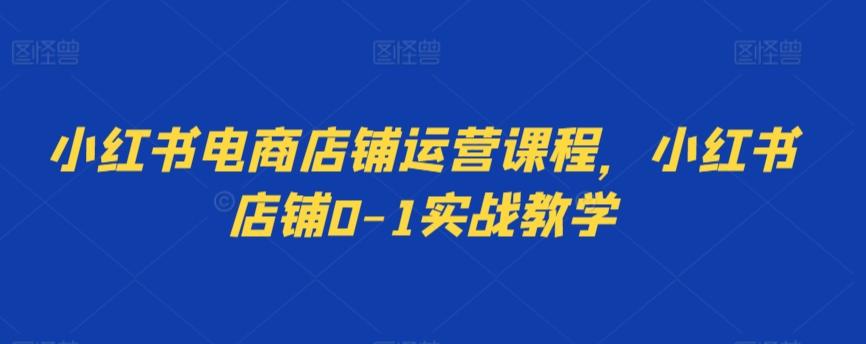 小红书电商店铺运营课程，小红书店铺0-1实战教学-乐码云集