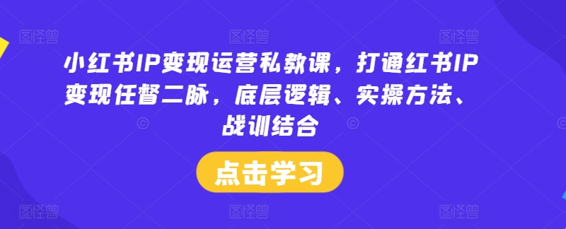 小红书IP变现运营私教课，打通红书IP变现任督二脉，底层逻辑、实操方法、战训结合-乐码云集