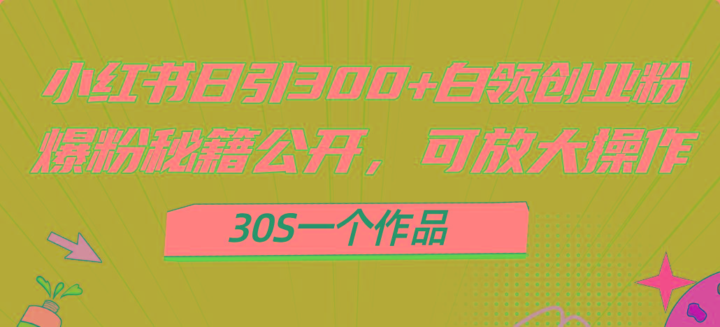小红书日引300+高质白领创业粉，可放大操作，爆粉秘籍！30s一个作品-乐码云集