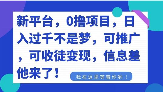 不要再花冤枉钱了，0撸项目，每天坚持，稳定1000+-乐码云集