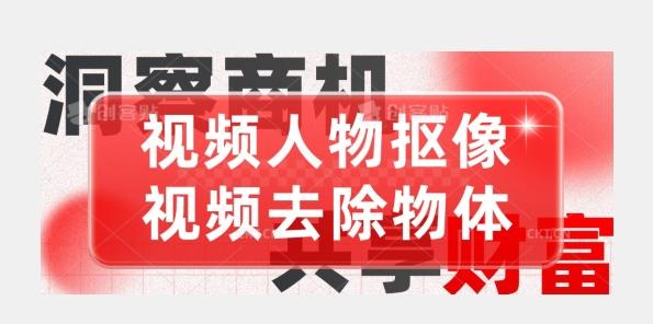 【超强视频处理工具】视频人物抠像+视频去除物体-乐码云集