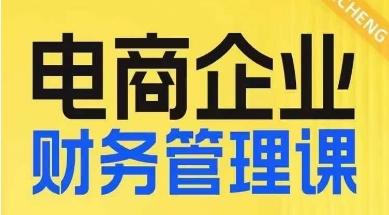 电商企业财务管理线上课，为电商企业规划财税-乐码云集