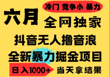 25年6月高爆抖音无人直播最新撸音浪掘金项目，小白可做，无脑日入1k+，门槛低可批量矩阵【揭秘】-乐码云集