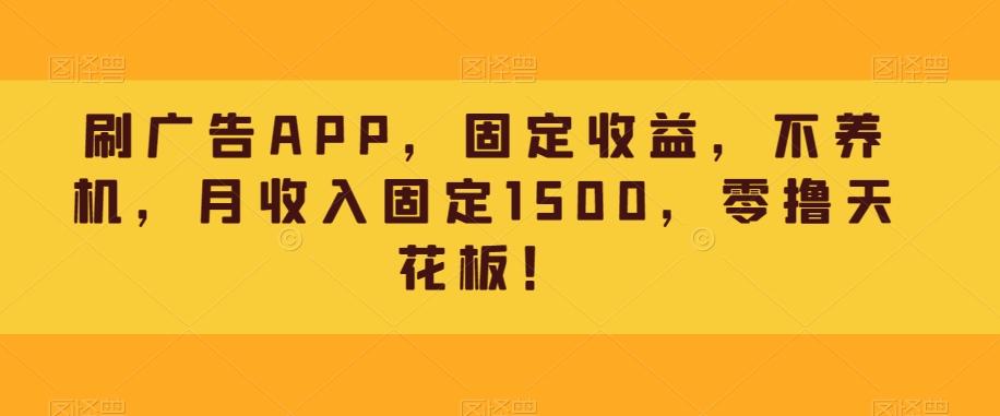 刷广告APP，固定收益，不养机，月收入固定1500，零撸天花板！-乐码云集
